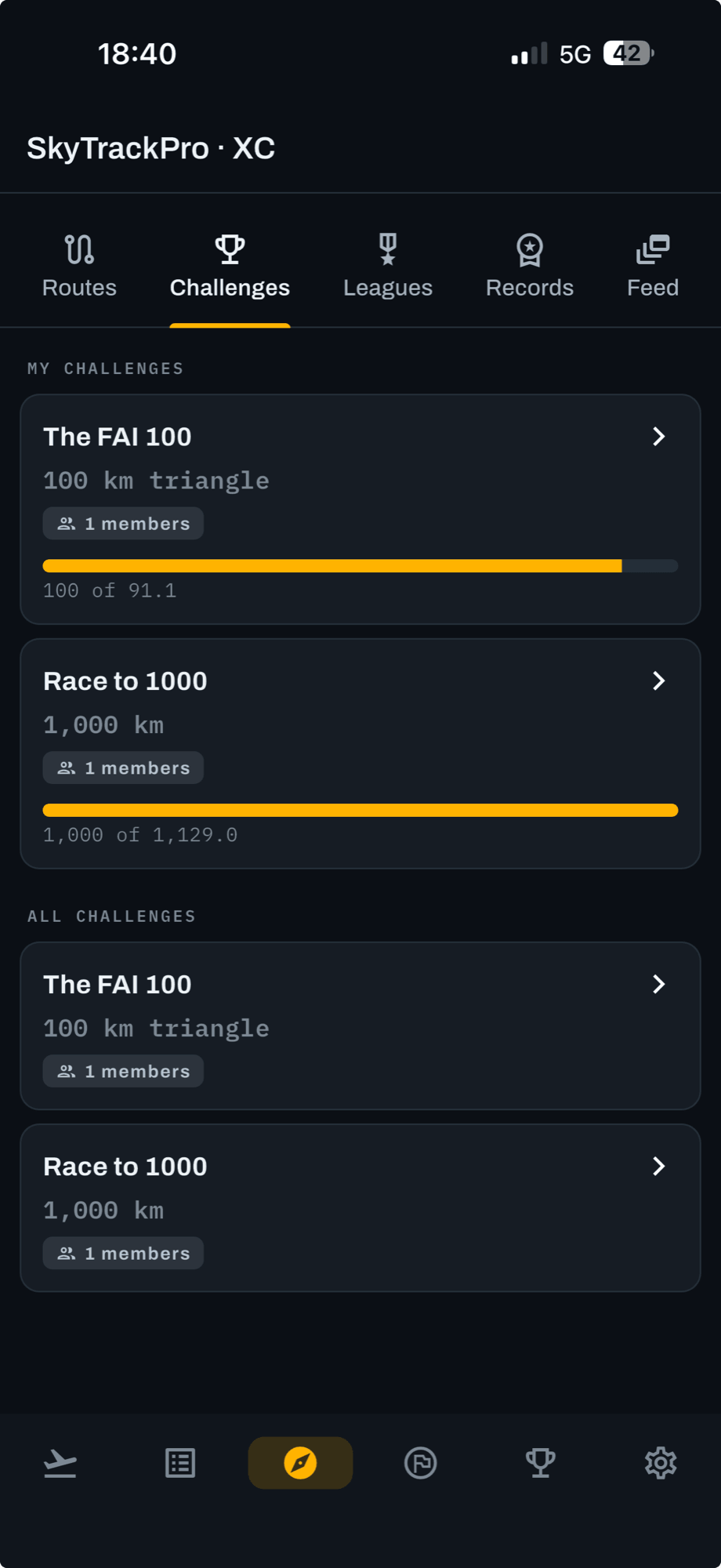 A challenge, with the goal, your progress and the leaderboard.